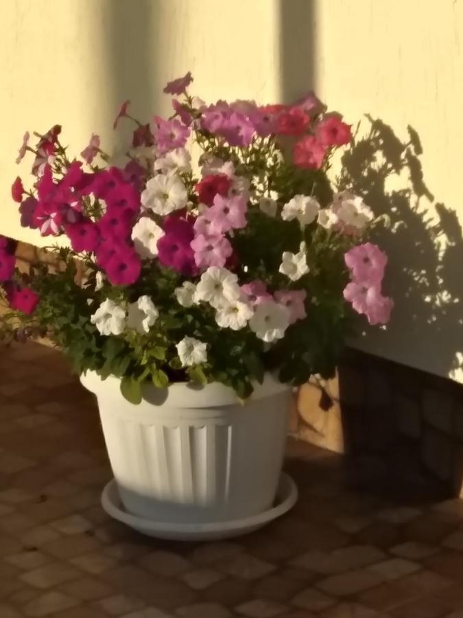 Бутік-Отель "Lavanda" Mýrhorod Exterior foto